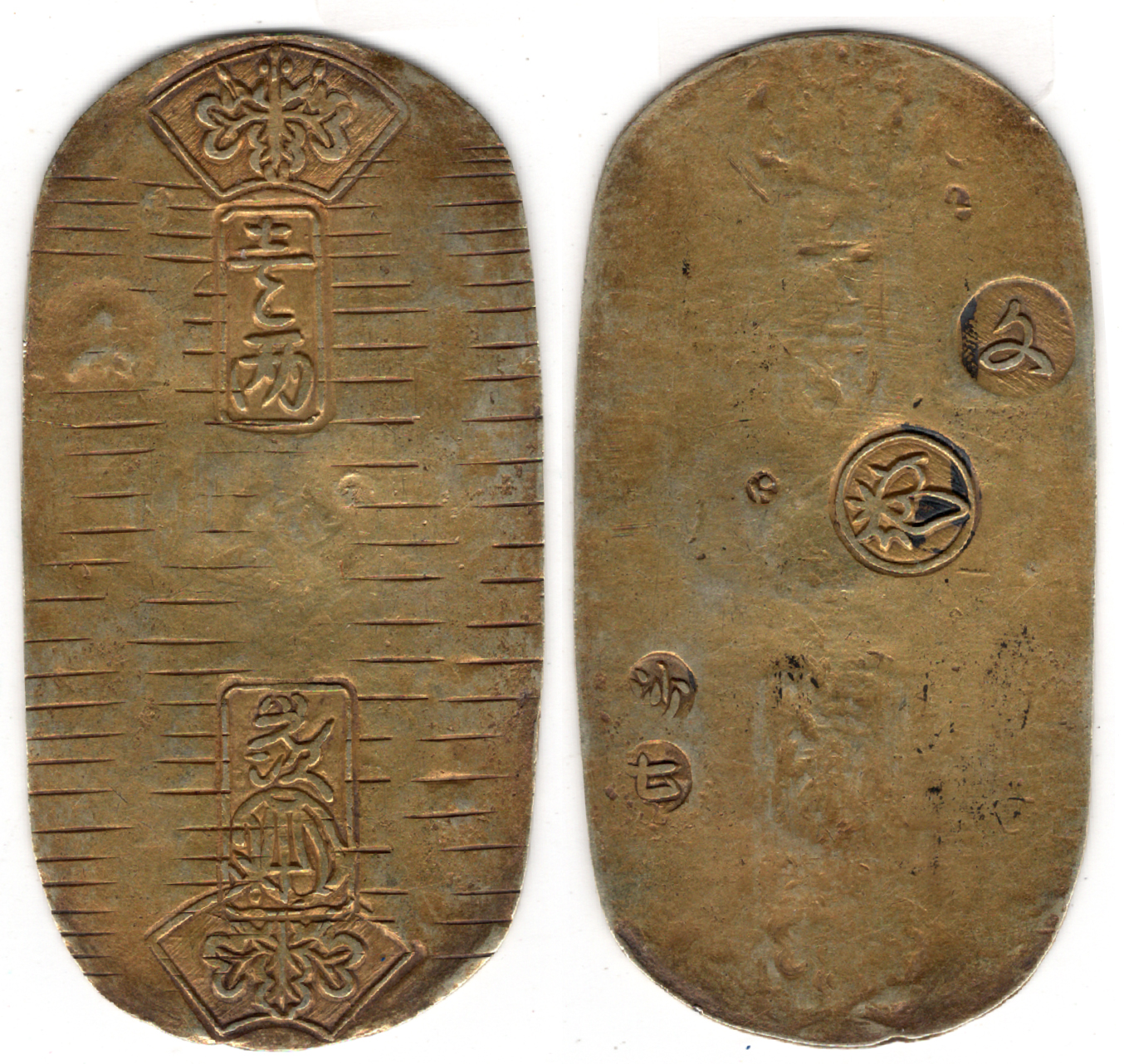 №19 文政小判金 沙七