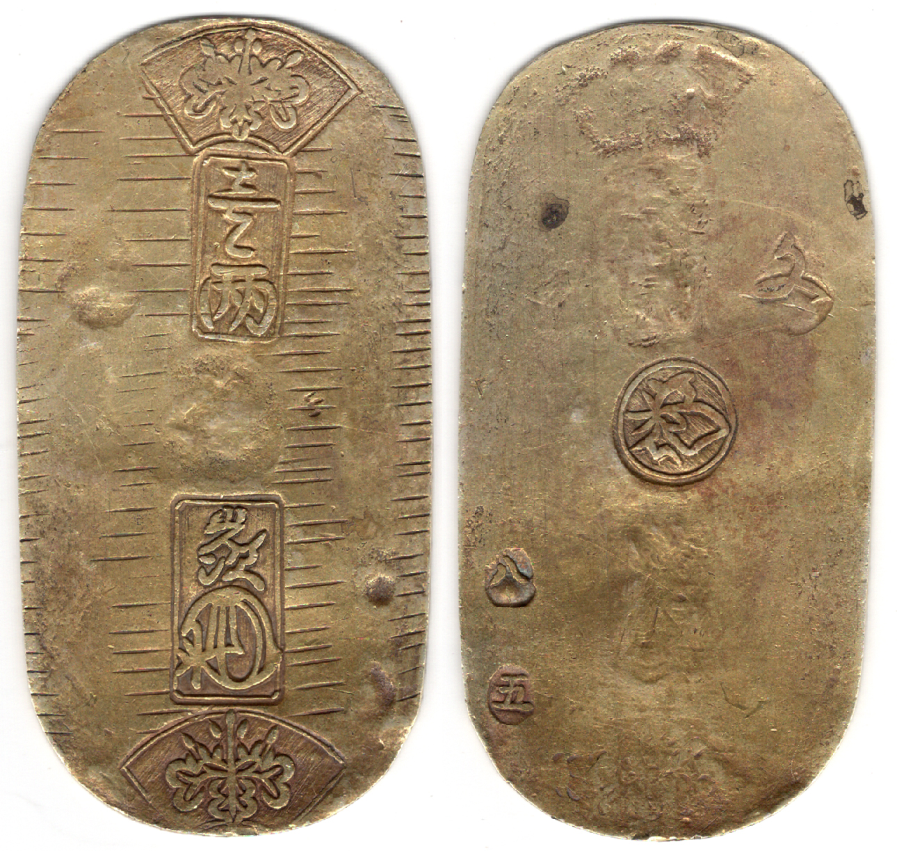 №31 文政小判金 八五